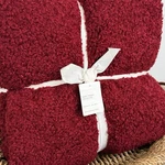Pottery Barn Cozy Teddy Faux Fur Throw Blanket Oversized 60" 80" Cardinal Red. Fixed Price $149.00.