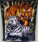 White Tiger Bengal Jungle Cat Animal Nature Two Ply Queen Size Blanket. Fixed Price $61.87.