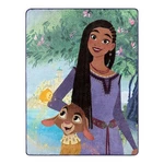 **new** Disney Wish Blanket 46" X 60'' Warm Silky Soft Throw. Fixed Price $20.00.