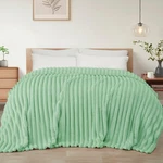 Exclusivo Mezcla Queen Size Flannel Fleece Blanket, Super Soft Striped Jacqua.... Fixed Price $42.63.