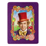 Northwest Willy Wonka Micro Raschel Throw Blanket 46"X60" Wonderful. Fixed Price $37.06.