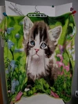 Northwest Co. Colorful Cat Flower Garden Fleece Blanket Throw 60 X 54 Cuddleford. Fixed Price $19.99.
