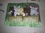 Cat Shavel Home Products Kittens Throw Blanket 100% Polyester. Fixed Price $9.19.