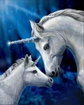 New Lisa Parker Unicorn Plush Fleece Throw Gift Blanket Sherpa Mama And Baby Nip. Fixed Price $17.22.