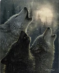 American Heritage Collection Wolves In Harmony Wolf Plush Fleece Throw Blanket. Fixed Price $37.41.