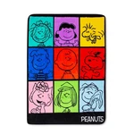 Peanuts Multicolor Character Grid Fleece Throw Blanket 45 X 60 Inches. Fixed Price $32.99.