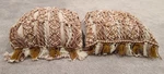 Joon Loloi Knit Beaded Brown Boho Weave Fringe Down Feather Pillows 20X20 Pair. Fixed Price $99.95.