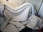 Sonoma White Lap/throw Blanket - Sherpa Plush 48" X 62". Fixed Price $8.00.