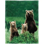 Klrigr Soft Cozy Fleece Throw Blanket For Couch, Brown Bears, 60X80 Inches. Fixed Price $26.74.