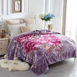 Jyk Soft Heavy Korean Mink Blanket, 5 Lb Fleece - 2 Ply Rever.... Fixed Price $55.61.