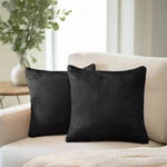 Throw Pillow Covers Set 2 Sofa Decor Velvet Cushion Cases Soft Fleece Zipper. Fixed Price $15.99.