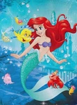 Little Mermaid/ariel Micro Raschel Throw Blanket, 46" X 60" By Northwest. Fixed Price $23.74.