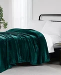 Brand New Ralph Lauren Micromink Green Plush Blanket Queen 90"X90" Rll Logo. Fixed Price $65.00.