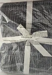 New, Still In Plastic, Chenille Throw. 50" X 60" By Bebejan. Dark Gray.. Fixed Price $25.00.
