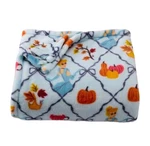 Disney Princess Plush Throw Blanket- The Big One Cinderella 5 X 6 New. Fixed Price $16.00.