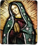 Blessed Mary Throw Blanket Plush 50X60 In Super Soft Northwest. Fixed Price $18.99.