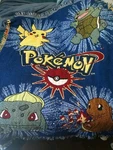 Vtg 90S Official Pok Mon Tapestry Throw Blanket The Northwest Co Pikachu. Fixed Price $45.00.