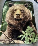 Shavel Fuzzy Blanket Brown Bear Reversible Green Border 84 X 56. Fixed Price $54.99.
