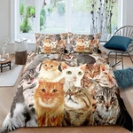 Feelyou Cat Comforter Cover Set Lover Gifts Bedding Women Cute Kitten.... Fixed Price $66.08.