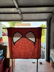 Marvel The Amazing Spiderman Silky Soft Throw Blanket 40 X 50 Inches Bn. Fixed Price $11.99.