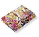 Franco Kids Bedding Super Soft Plush Throw Blanket, 46 X 60 In, Paw Patrol. Fixed Price $24.99.