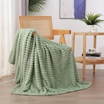 Linecooo Sage Green Fleece Throw Blanket 50 For 60INCH,. Fixed Price $17.50.