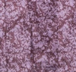 Vera Bradley Throw Blanket In Fleece Tonal Chrysanthemums With Shimmer Accents. Fixed Price $47.36.