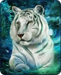 Queen Size White Tiger Blue Aurora Beautiful Mink Faux Fur Blanket Soft Plush. Fixed Price $69.99.