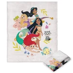 Northwest Disney Princess Silk Touch Throw Blanket 50 X 60 Fun Together. Fixed Price $89.06.