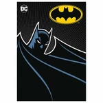 New Batman Silhouette Fleece Throw Gift Blanket Dc Comics Superhero Shield Logo. Fixed Price $23.50.