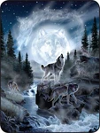 60X80 Moon Wolves Howling Wolf Night Mink Faux Fur Twin Full Queen Throw Blanket. Fixed Price $49.99.