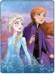 Disney Frozen 2 - North Remembers Silk Touch Throw Blanket, 46" X 60". Fixed Price $18.94.