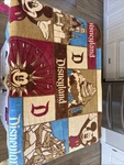 Parks Disneyland Resort Throw Blanket Fleece 60 X 40 Mickey Mouse Castle. Fixed Price $19.99.