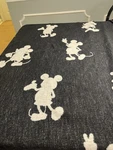 Pottery Barn Mickey Mouse Reversable Black & Gray Jacquard Throw 50X60 Germany. Fixed Price $38.99.