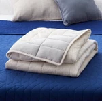 Dr. Oz Good Life Center Yourself Dual- Sided 48" X 72" Weighted Blanket, 12 Lb. Fixed Price $30.00.