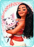 Disney's Moana, "voyagers" Micro Raschel Throw Blanket, 46" X 60", Multi Color. Fixed Price $31.41.