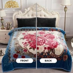 Yhsf Mink Blanket 2 Ply Reversible Queen King Size Brand New Free Shipping. Fixed Price $57.99.