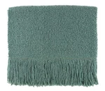 Bedford Cottage Campbell Seafoam Throw Blanket. Fixed Price $80.99.