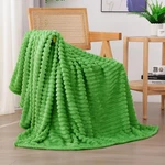 Linecooo Bright Green Fleece Throw Blanket 50 60 For Couch Sofa Bed,super S.... Fixed Price $29.30.