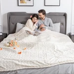Woomer Electric Blanket King Size 100X90 Dual Control Heated. Fixed Price $189.64.