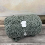Pottery Barn Fireside Cozy Sherpa Reversible Throw Blanket 50"X60" Evergreen Ob. Fixed Price $69.95.