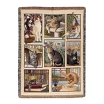 Kitty Corner Tapestry Throw Blanket By Manual Woodworkers & Weavers. Fixed Price $59.95.