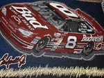 Vtg Northwest Nascar Dale Earnhardt Jr Budweiser Throw Blanket App 56 X 42. Fixed Price $29.99.