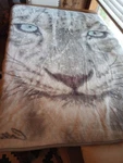 The Northwest Blue Ice Cat Throw Blanket Collin Bogle 44" X 58" 2014 Soft. Fixed Price $19.99.