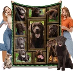 Blanket For Women Kids, Chocolate Dog 50" X 60" Labrador. Fixed Price $43.91.