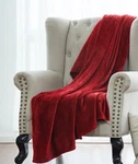 Solid Soft Warm Versatile Small Throw Lightweight Travel Micro Plush Bed Blanket. Fixed Price $13.02.