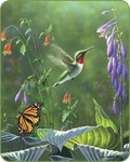 Hummingbird Hosta Queen Size 79"X96" Soft Medium Weight Bed Spread Throw Blanket. Fixed Price $69.95.