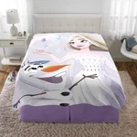 Disney Frozen Plush Micro Raschel Blanket, 62 In X 90. Fixed Price $28.95.