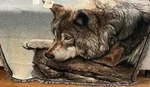 Riddle & Cockrell Nwf Wolf Tapestry Cotton Throw Blanket Artist Rusty Frentner. Fixed Price $29.99.