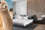 Luxury Alpaca Wool Duvet Medium Quilt Natural Year / Seasons Hypoallergenic. Fixed Price $340.70.